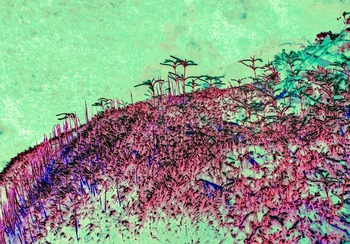 L 038C